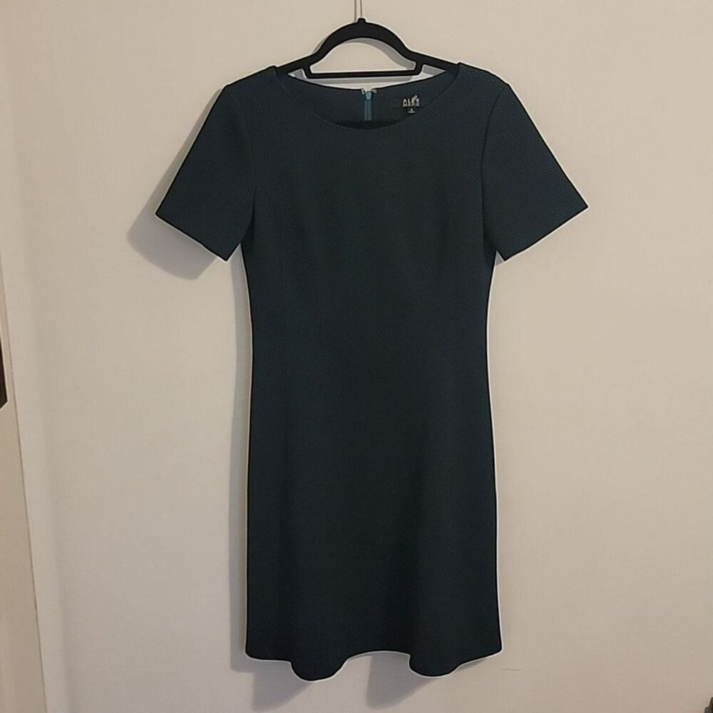 ALEX MARIE Black and Green Mesh Overlay Dress Size 6